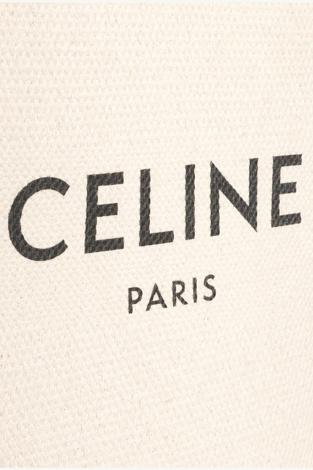 CELINE Mini Vertical Cabas in Natural/Tan with Celine Print 3