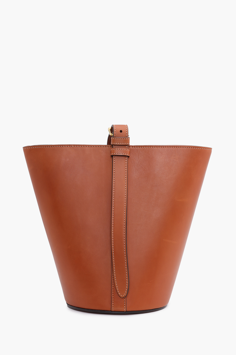 CELINE Triomphe Bucket Bag in Tan Natural Calfskin GHW with Central Pocket 1