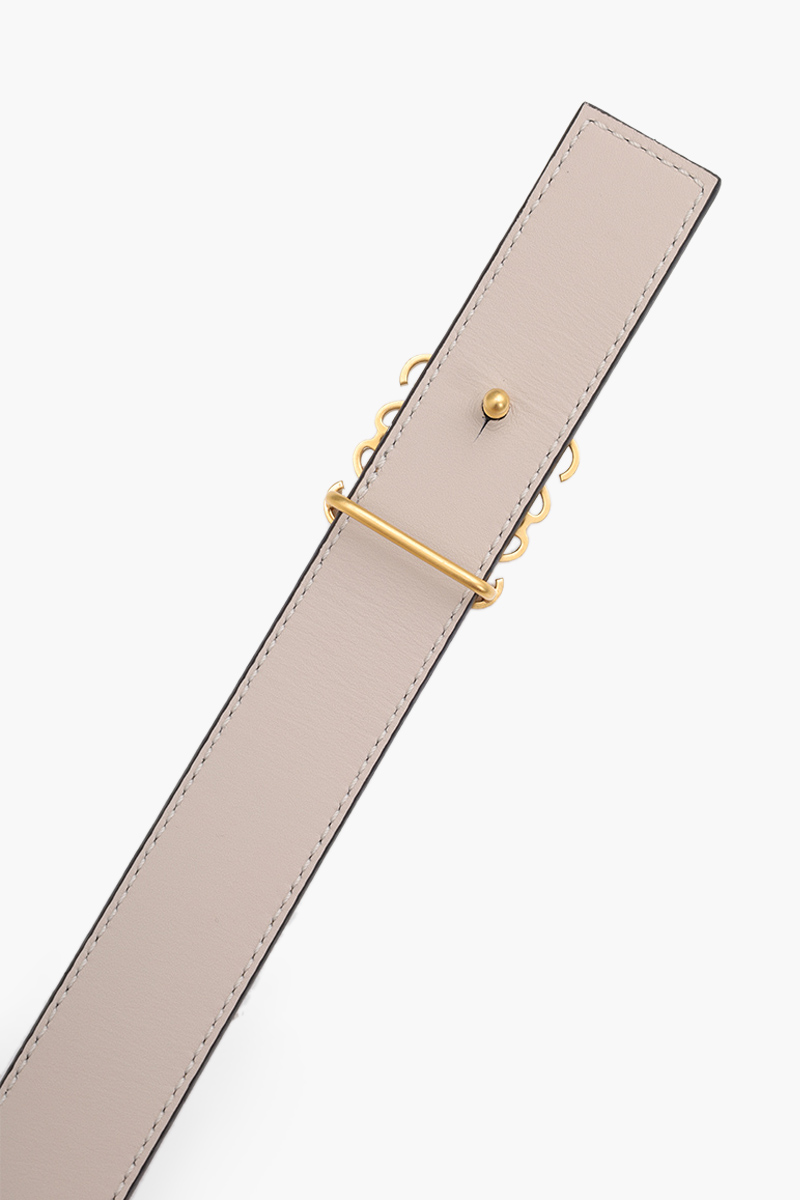 LOEWE Reversible Anagram Belt 2.8cm in Warm Desert/Light Oat/Bronze Smooth Calfskin 3